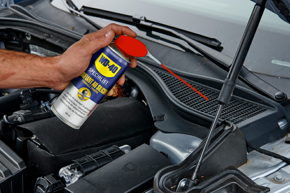 WD-40 SPECIALIST: SPUITVET